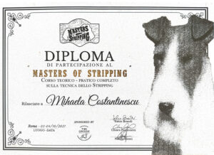 Diploma Master of Stripping